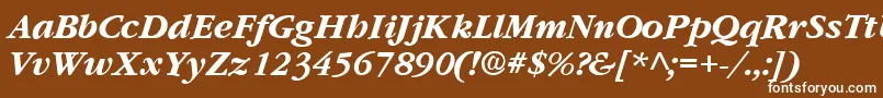 フォントGarnetBoldItalic – 茶色の背景に白い文字