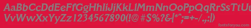 VeracruzserialBolditalic Font – Gray Fonts on Red Background
