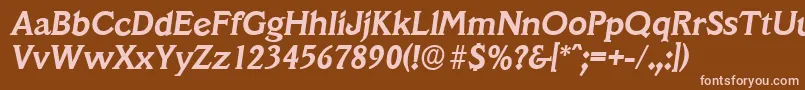 VeracruzserialBolditalic Font – Pink Fonts on Brown Background
