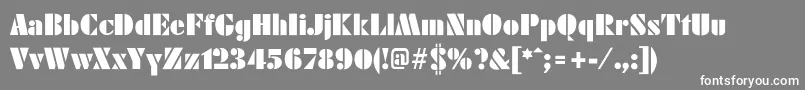 FritterPosterLight Font – White Fonts on Gray Background