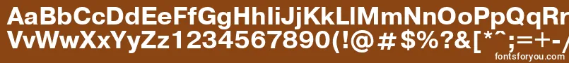 Шрифт Pragm9 – белые шрифты на коричневом фоне