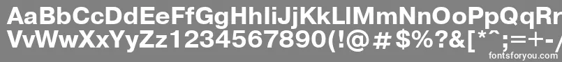 フォントPragm9 – 灰色の背景に白い文字