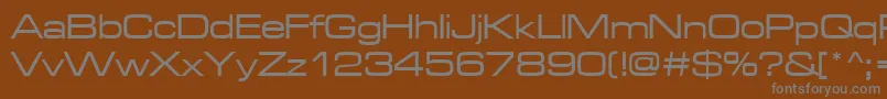Microgrammadmedext Font – Gray Fonts on Brown Background