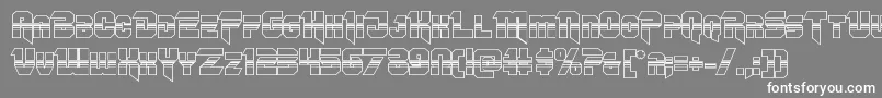 Omegaforcehalf3D12 Font – White Fonts on Gray Background