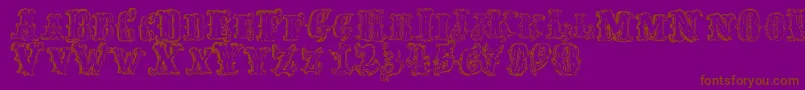 FredwildwestRegular Font – Brown Fonts on Purple Background