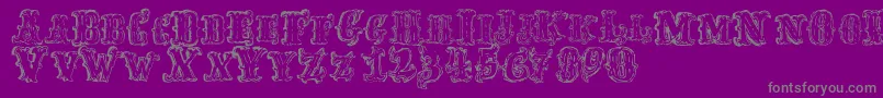 FredwildwestRegular Font – Gray Fonts on Purple Background