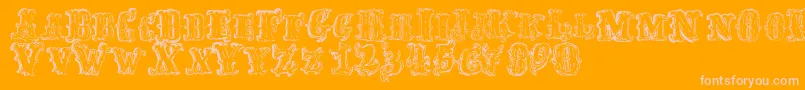 FredwildwestRegular Font – Pink Fonts on Orange Background
