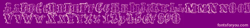 FredwildwestRegular Font – Pink Fonts on Purple Background