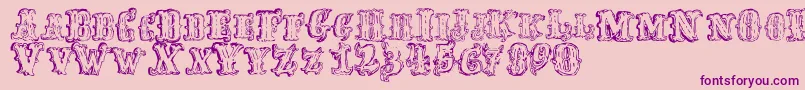 FredwildwestRegular Font – Purple Fonts on Pink Background
