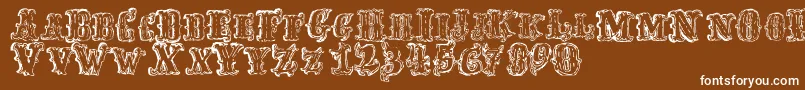 FredwildwestRegular Font – White Fonts on Brown Background