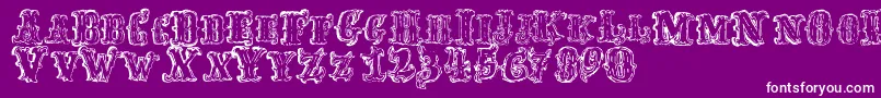 FredwildwestRegular Font – White Fonts on Purple Background