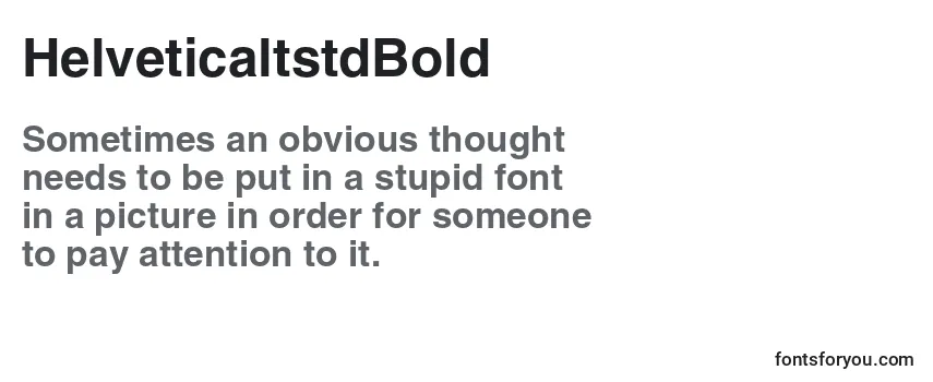Review of the HelveticaltstdBold Font