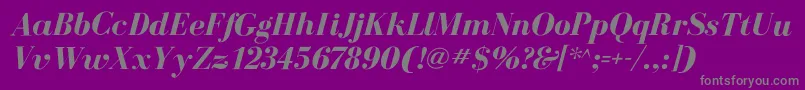 BodoniflfBolditalic Font – Gray Fonts on Purple Background