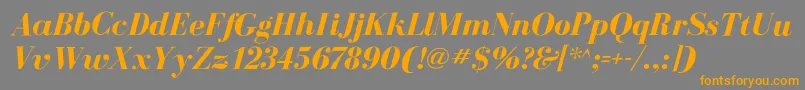 BodoniflfBolditalic Font – Orange Fonts on Gray Background