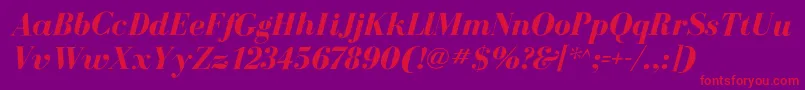 BodoniflfBolditalic Font – Red Fonts on Purple Background