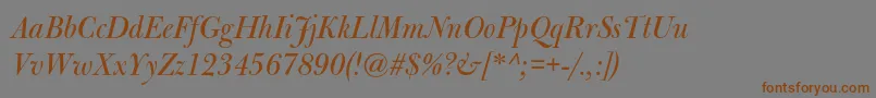 BulmermtstdItalicdisplay Font – Brown Fonts on Gray Background