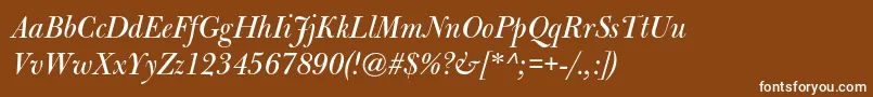 BulmermtstdItalicdisplay Font – White Fonts on Brown Background