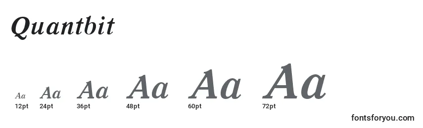 Quantbit Font Sizes