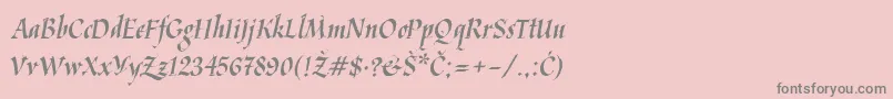 フォントKaligraflatin – ピンクの背景に灰色の文字