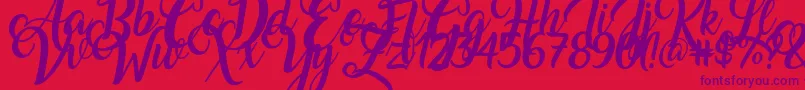 Amarillo Font – Purple Fonts on Red Background