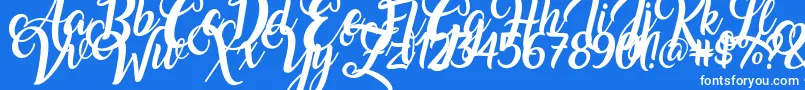 フォントAmarillo – 青い背景に白い文字
