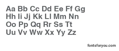 LettericaBold Font