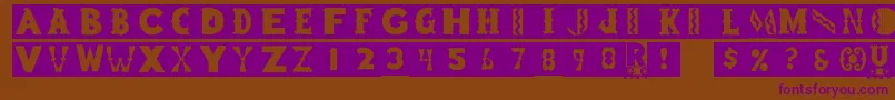 Pcblockboy Font – Purple Fonts on Brown Background