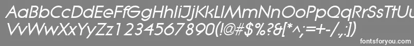 LitheBoldItalic Font – White Fonts on Gray Background