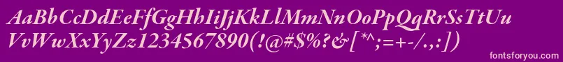 GaramondpremrproBditsubh Font – Pink Fonts on Purple Background