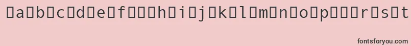 フォントAndaleMonoIpa – ピンクの背景に黒い文字