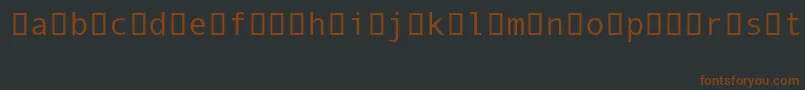 Шрифт AndaleMonoIpa – коричневые шрифты на чёрном фоне