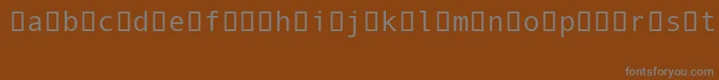 Шрифт AndaleMonoIpa – серые шрифты на коричневом фоне
