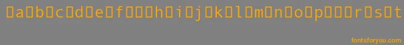 AndaleMonoIpa Font – Orange Fonts on Gray Background