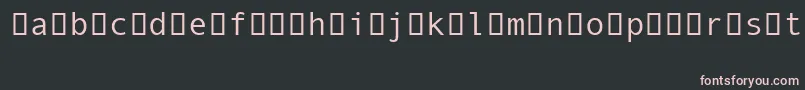 フォントAndaleMonoIpa – 黒い背景にピンクのフォント