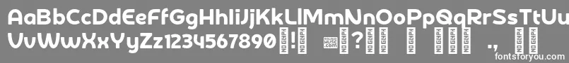 DerotterdamdemoRegular Font – White Fonts on Gray Background