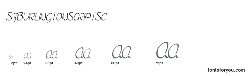 SfBurlingtonScriptSc Font Sizes