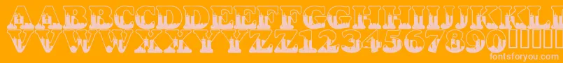 More about LmsSeptember112001847Am Font LmsSeptember112001847Am Font – Pink Fonts on Orange Background