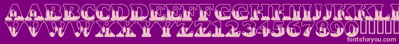 LmsSeptember112001847Am Font – Pink Fonts on Purple Background
