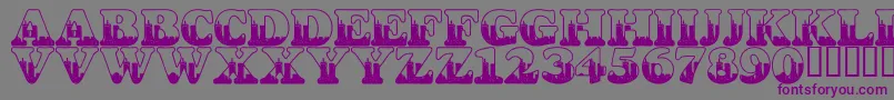 Czcionka LmsSeptember112001847Am – fioletowe czcionki na szarym tle