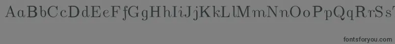 CmUnslantedItalic Font – Black Fonts on Gray Background