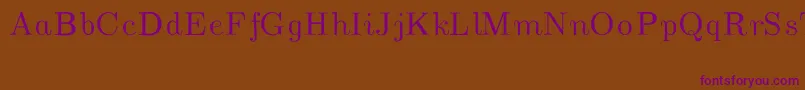 CmUnslantedItalic Font – Purple Fonts on Brown Background