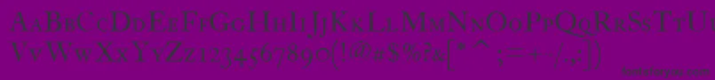 FcaslontwelvescitcTt Font – Black Fonts on Purple Background