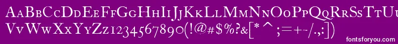 FcaslontwelvescitcTt Font – White Fonts on Purple Background