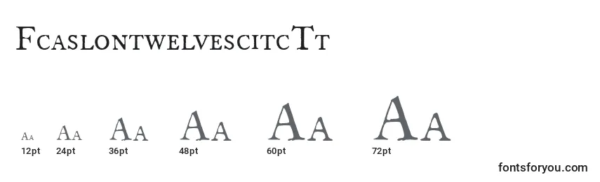 Размеры шрифта FcaslontwelvescitcTt