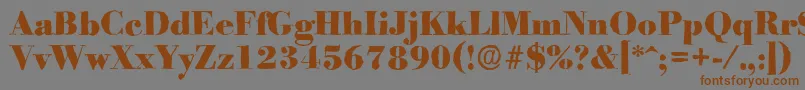 BodoniantiqueHeavyRegular Font – Brown Fonts on Gray Background