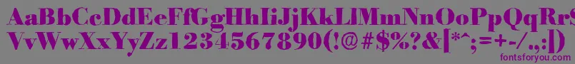 BodoniantiqueHeavyRegular-Schriftart – Violette Schriften auf grauem Hintergrund