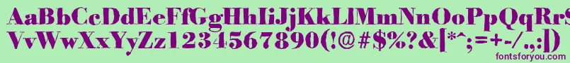 BodoniantiqueHeavyRegular Font – Purple Fonts on Green Background