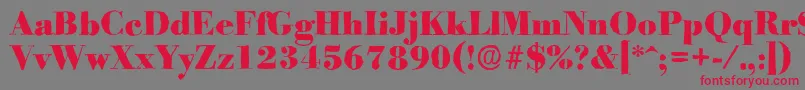 BodoniantiqueHeavyRegular Font – Red Fonts on Gray Background