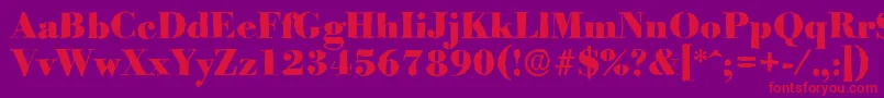 BodoniantiqueHeavyRegular Font – Red Fonts on Purple Background