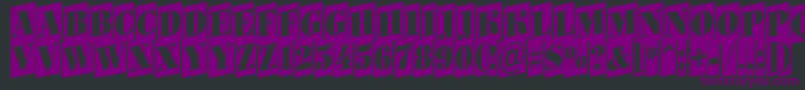 Bodoni6 Font – Purple Fonts on Black Background